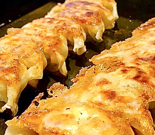 餃子ト鶏皮ト酒 ネオとよじ