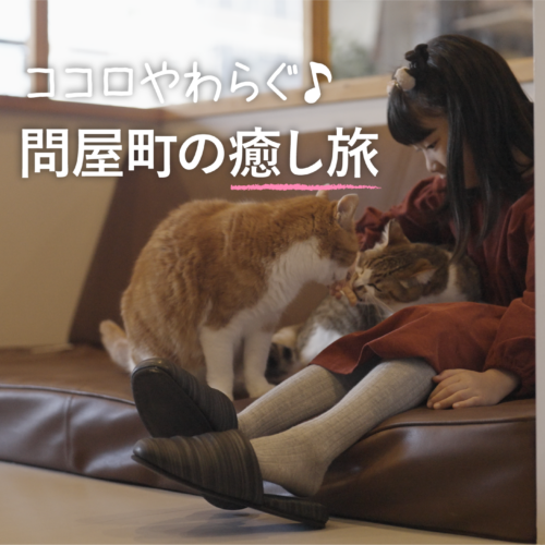 【岡山観光】疲れを癒す小さな旅へ。問屋町の保護猫カフェ「ブルーキャットカフェ」で心ほどける時間