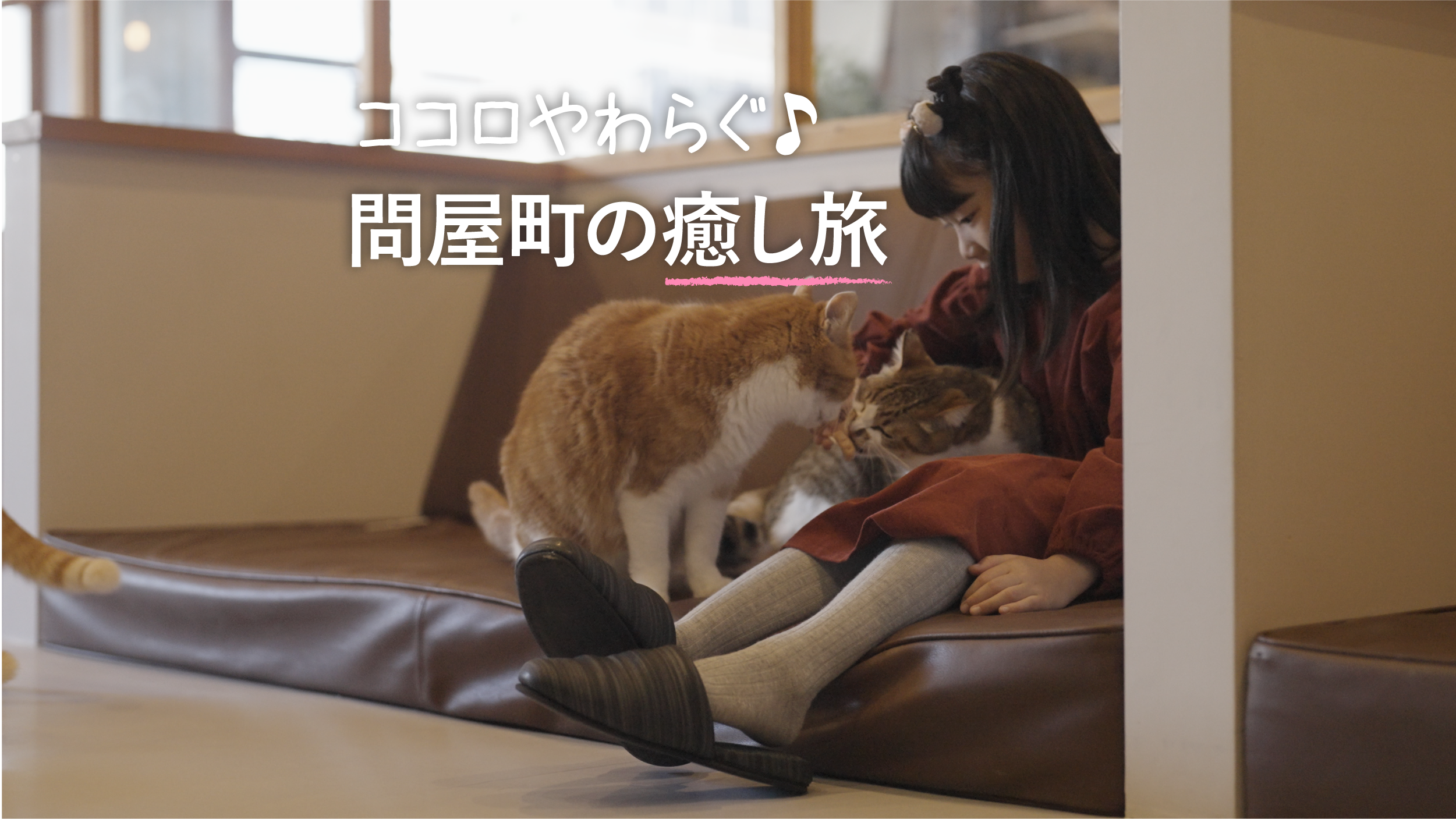 【岡山観光】疲れを癒す小さな旅へ。問屋町の保護猫カフェ「ブルーキャットカフェ」で心ほどける時間
